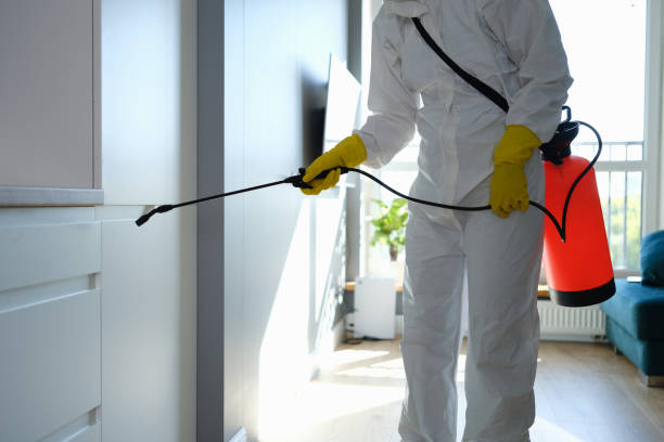 Best Mold Removal Company Near Me  in Dickinson, TX