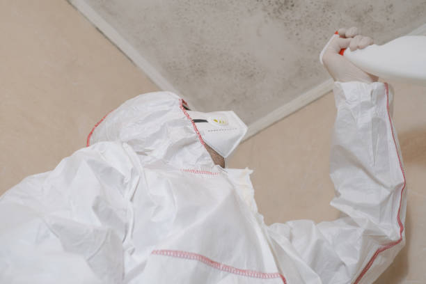 Crawl Space Mold Removal in Dickinson, TX