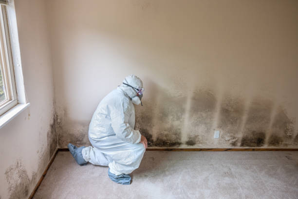 Water Damage Restoration in Dickinson, TX